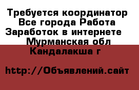 Требуется координатор - Все города Работа » Заработок в интернете   . Мурманская обл.,Кандалакша г.